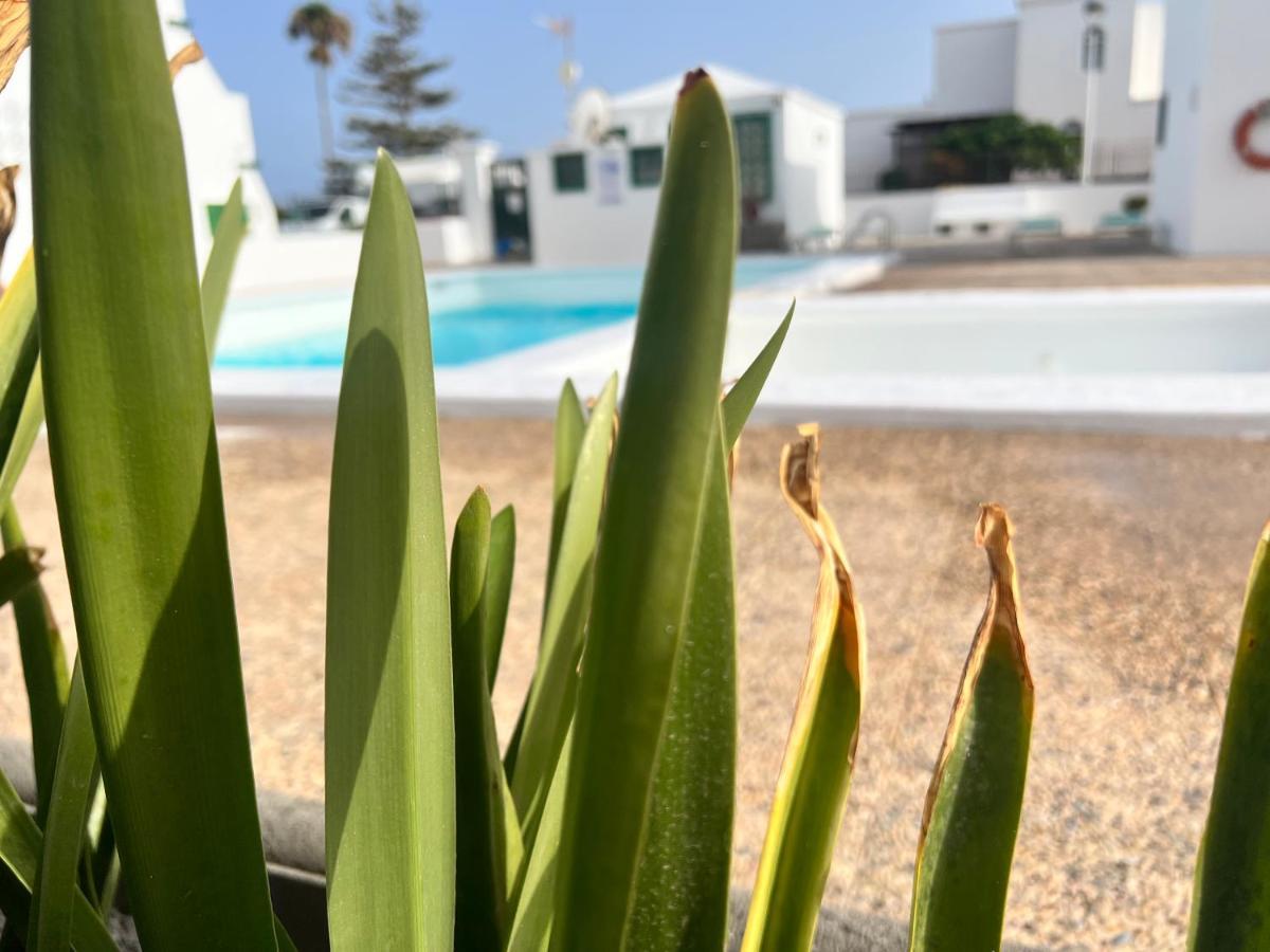 Las Mimosas Beach Sol بويرتو ذيل كارمين المظهر الخارجي الصورة